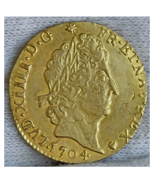 Louis d'or aux insignes - 1704 G