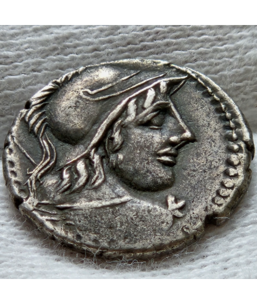Rome - Denier - CORNELIA