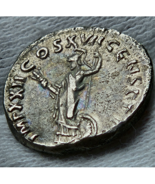 Rome - Denier - Domitien