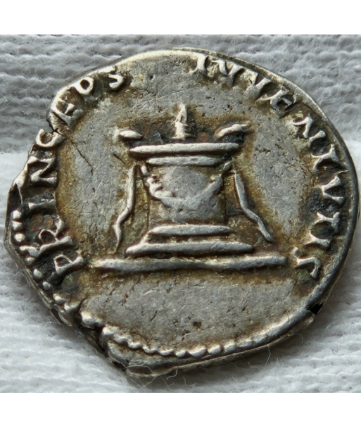 Rome - Denier - Domitien
