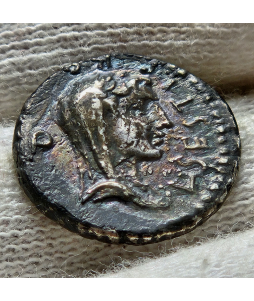 Rome - Denier - Brutus