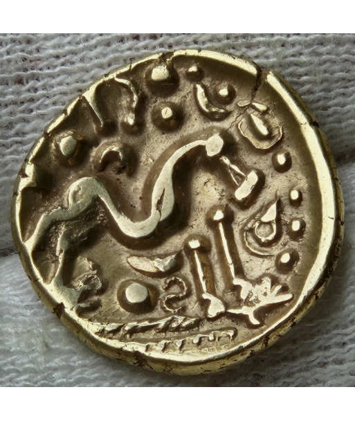 Ambiani - Statère d'or uniface