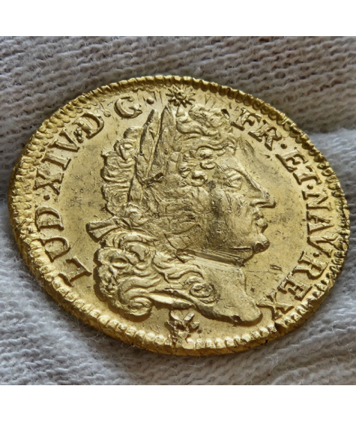 Louis XIV - Louis d'or à l'écu - 1690 P