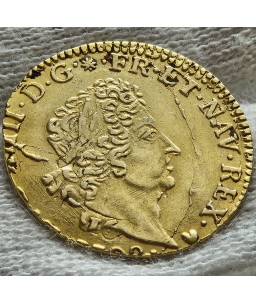 Louis XIV - Demi Louis d'or aux 8L et aux insignes - 1702 E