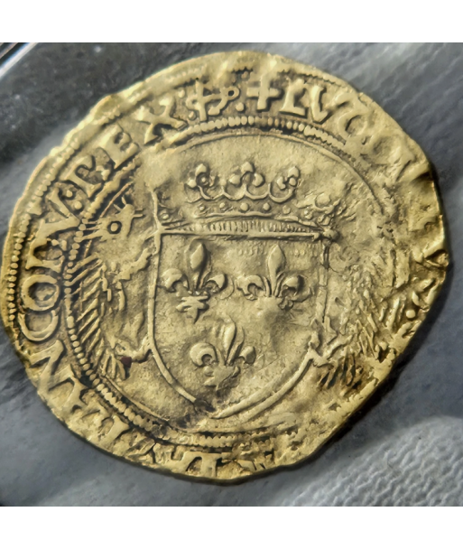 Louis XII - Écu d'or au Porc Epic - 1497/1515